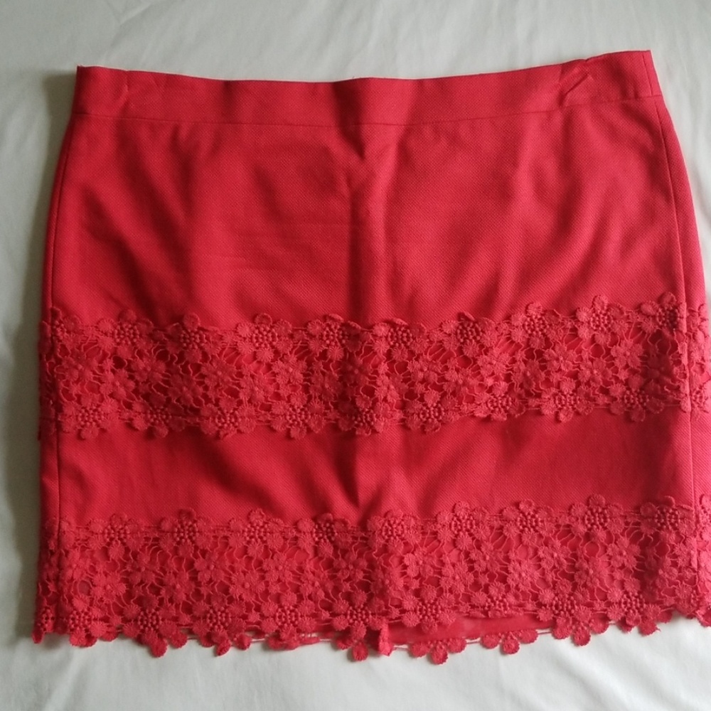 Womens J Crew pink crochet style embroidered skirt, Fully lined, New, Size 10